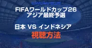 サッカーインドネシア戦を見る方法 ワールドカップ最終予選5戦目